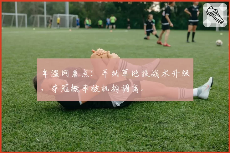年温网看点：辛纳草地技战术升级，夺冠概率被机构调高。