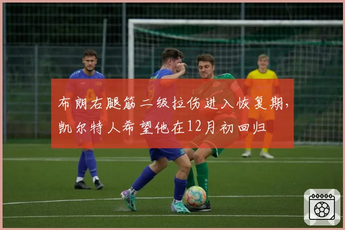 布朗右腿筋二级拉伤进入恢复期，凯尔特人希望他在12月初回归