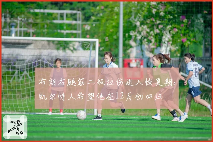 布朗右腿筋二级拉伤进入恢复期，凯尔特人希望他在12月初回归